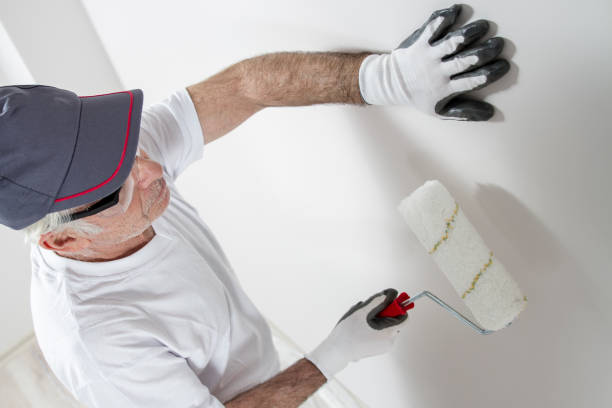 Best Mold Removal for HVAC Installations  in Richmond, KY