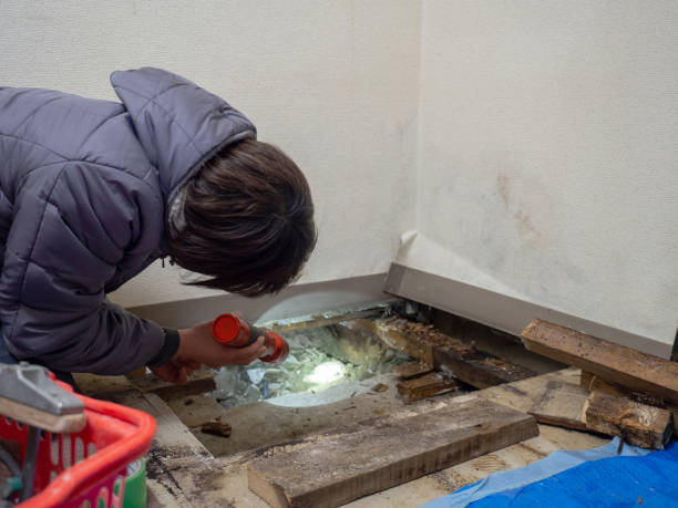 Best Real Estate Mold Inspection  in Richmond, KY