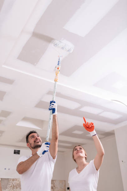 Best Black Mold Removal  in Richmond, KY