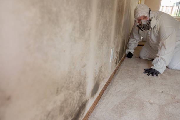 Best Asbestos and Lead Testing During Mold Inspection  in Richmond, KY